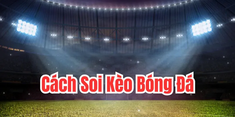 Bí kíp nhận định cửa trên chuẩn xác từ cao thủ